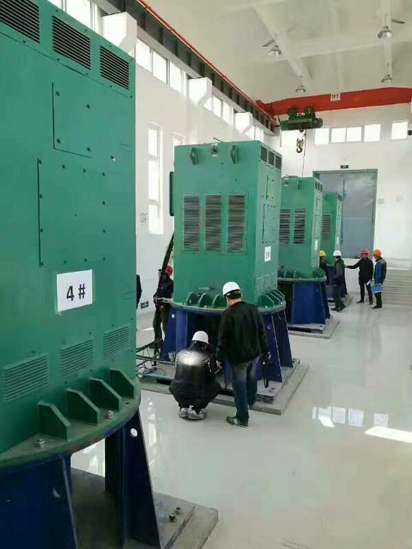 南坤镇某污水处理厂使用我厂的立式高压电机安装现场